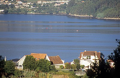Jakobsweg (Caminho Português): In der Ferne Fischer bei der Arbeit - Ría de Vigo