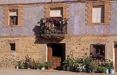 Jakobsweg (Camino Francés): Blumen vor einem Haus - Viloria de Rioja