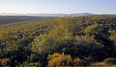Jakobsweg (Camino Francés): Ausblick von den Montes de Oca auf die Sierra de la Demanda - Castilla y León