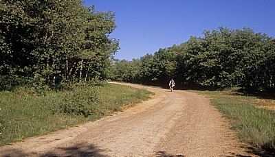 Jakobsweg (Camino Francés): Montes de Oca - Castilla y León