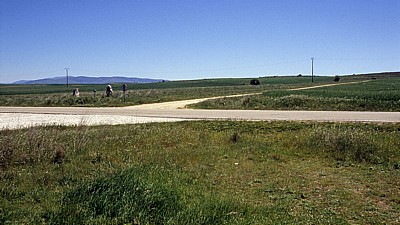 Landschaft beim Ausgrabungsgebiet Atapuerca - Castilla y León