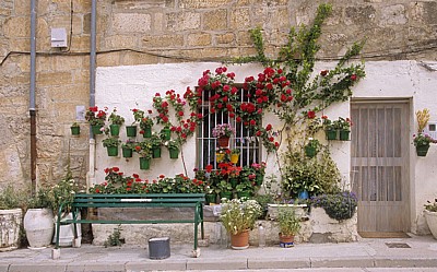 Jakobsweg (Camino Francés): Blumenschmuck vor einem Wohnhaus - Rabé de las Calzadas