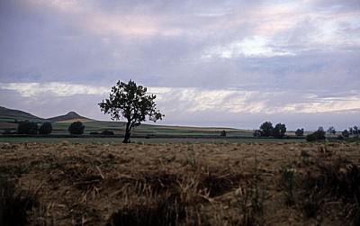 Jakobsweg (Camino Francés): Morgenstimmung in der Meseta - Castilla y León