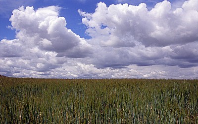 Jakobsweg (Camino Francés): Tierra de Campos (Meseta) - Castilla y León