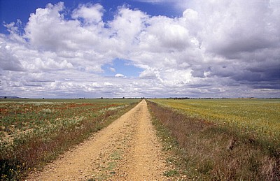Jakobsweg (Camino Francés): Tierra de Campos (Meseta) - Castilla y León