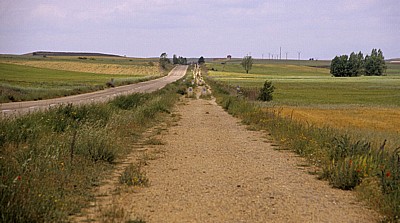 Jakobsweg (Camino Francés): Pilger auf der „Pilgerautobahn“ kurz vor Villalcázar de Sirga - Castilla y León