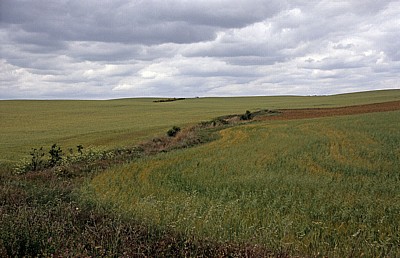 Jakobsweg (Camino Francés): Campos (Weizenfelder) - Castilla y León