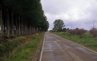 Jakobsweg (Camino Francés): Auf dem Weg in die Meseta - Castilla y León