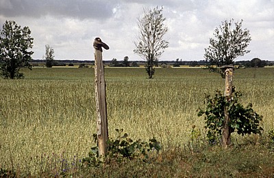 Jakobsweg (Camino Francés): Ausgemusterte Schuhe in der Meseta - Castilla y León