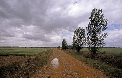 Jakobsweg (Camino Francés): Meseta – Vía Aquitana - Castilla y León
