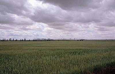Jakobsweg (Camino Francés): Meseta - Weizenfelder - Castilla y León