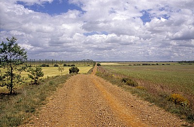 Jakobsweg (Camino Francés): Meseta – Einsamer Pilger auf der Vía Aquitana - Castilla y León