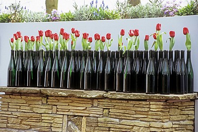 Keukenhof: Tulpen in Flaschen - Lisse