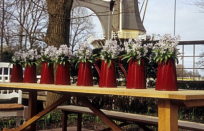 Keukenhof: Floral dekorierte Kannen - Lisse