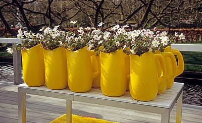 Keukenhof: Floral dekorierte Krüge - Lisse