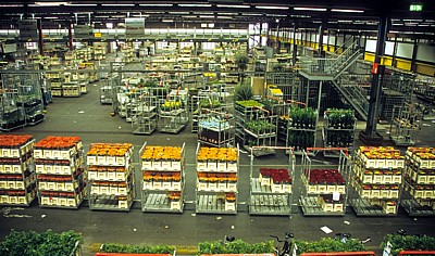 FloraHolland: Vertriebshalle - Aalsmeer