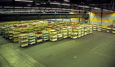FloraHolland: Vertriebshalle – mit Blumen gef?llte Stapelwagen  - Aalsmeer