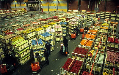 FloraHolland: Vertriebshalle - Aalsmeer