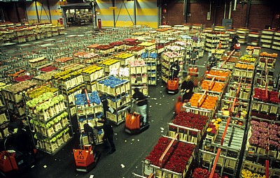 FloraHolland: Vertriebshalle - Aalsmeer