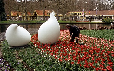 Keukenhof: Detailansicht des Parks - Lisse
