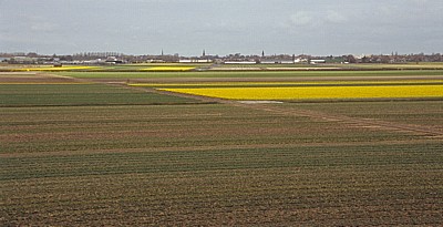 Keukenhof: Blick von der Groninger Windmühle auf die umliegenden Blumenfelder - Lisse