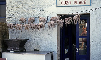 Zum Trocknen aufgehängte Kraken (Octopus vulgaris) - Naoussa