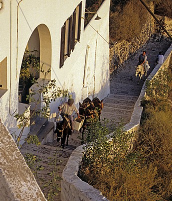 Treppenweg zum alten Hafen: Eselstreiber mit ihren Eseln - Fira