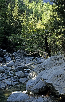 Samaria-Schlucht - Kreta