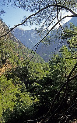 Samaria-Schlucht - Kreta