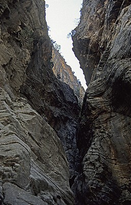 Samaria-Schlucht - Kreta