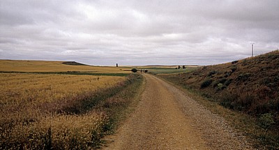 Jakobsweg (Camino Francés): Pilger in der Meseta - Castilla y León
