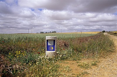 Jakobsweg (Camino Francés): Meseta - Weizenfelder - Castilla y León