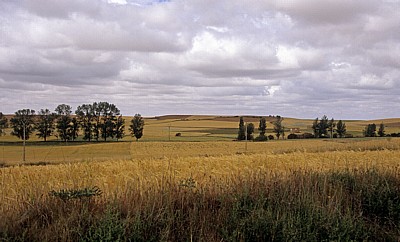 Jakobsweg (Camino Francés): Meseta - Weizenfelder - Castilla y León