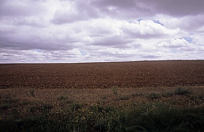 Jakobsweg (Camino Francés): Calzada Romana - Wolken über einem gepflügten Acker - Castilla y León