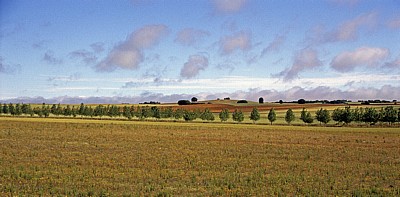 Jakobsweg (Camino Francés): Meseta – Calzada Romana - Castilla y León