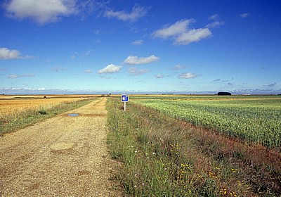 Jakobsweg (Camino Francés): Meseta – Calzada Romana - Castilla y León