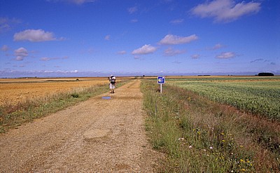 Jakobsweg (Camino Francés): Meseta – Calzada Romana - Castilla y León
