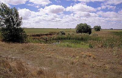 Jakobsweg (Camino Francés): Meseta – Calzada Romana: Kleiner Tümpel - Castilla y León