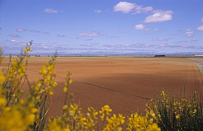 Jakobsweg (Camino Francés): Meseta – Blick auf gepflügte Äcker - Castilla y León