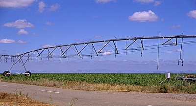 Jakobsweg (Camino Francés): Meseta – Felder mit künstlicher Bewässerung - Castilla y León