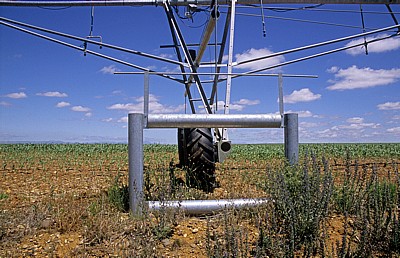 Jakobsweg (Camino Francés): Meseta – Feld mit künstlicher Bewässerung - Castilla y León