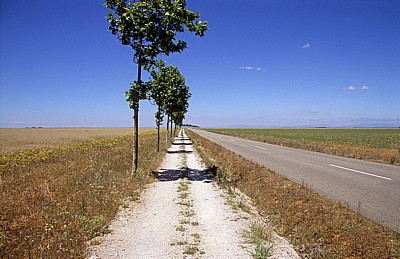 Jakobsweg (Camino Francés): Meseta – Calzada Romana - Castilla y León