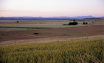 Jakobsweg (Camino Francés): Blick auf die Meseta - Reliegos