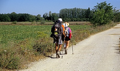 Jakobsweg (Camino Francés): Pilger auf dem Weg nach Mansilla de las Mulas - Castilla y León