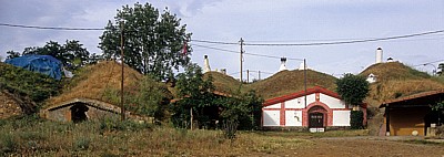 Jakobsweg (Camino Francés): Bodegas - Trobajo del Camino