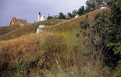Jakobsweg (Camino Francés): Bodegas - Trobajo del Camino