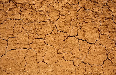 Jakobsweg (Camino Francés): Ausgetrockneter Boden - Castilla y León