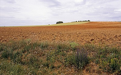 Jakobsweg (Camino Francés): Umgepflügte Felder - Castilla y León