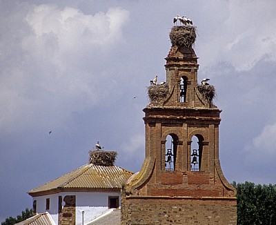 Jakobsweg (Camino Francés): Iglesia de las Candelas - Storchennester (Ciconia ciconia)  - Villavante