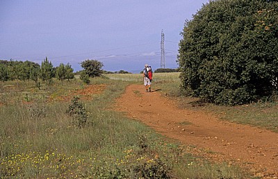 Jakobsweg (Camino Francés): Pilger auf dem Weg nach Santo Toribio - Castilla y León